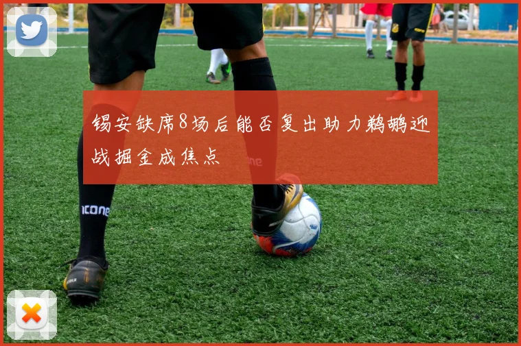 锡安缺席8场后能否复出助力鹈鹕迎战掘金成焦点