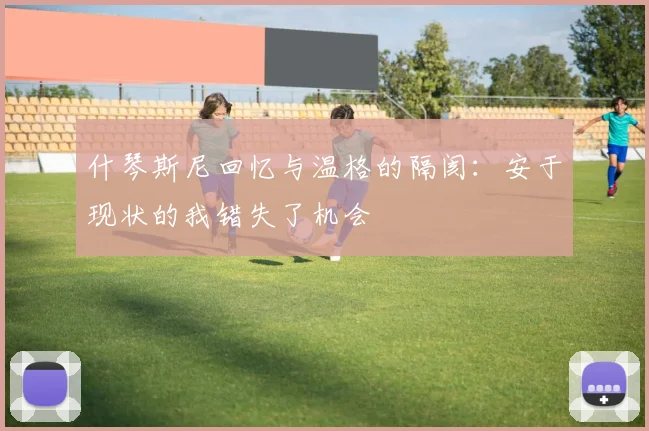 什琴斯尼回忆与温格的隔阂：安于现状的我错失了机会