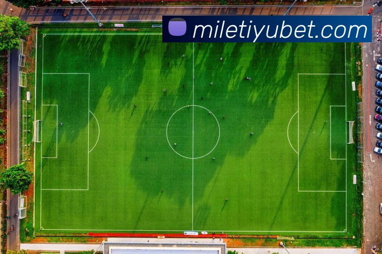 App Interface Preview