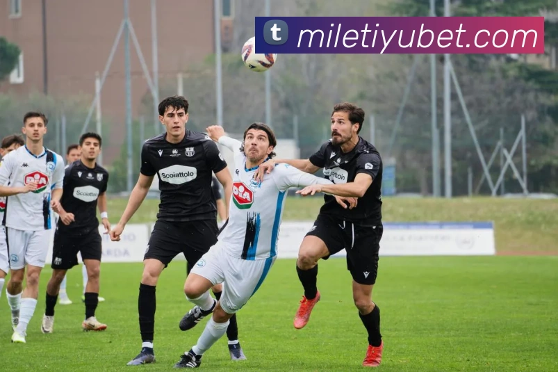 米乐体育APP 封面图